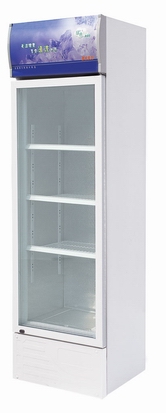 Vertical Refrigerator Showcase