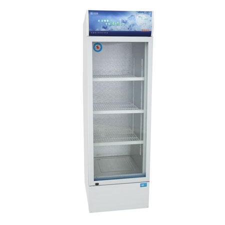 Vertical Refrigerator Showcase