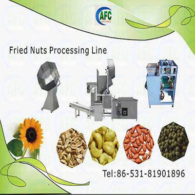 Fried nuts/seeds Processing Line