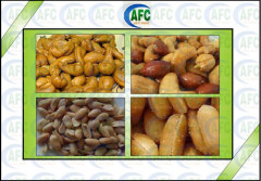 Fried nuts/seeds Processing Line