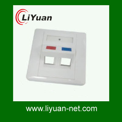 networking wall face plate