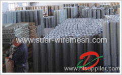 Galvanized Welded Wire Mesh