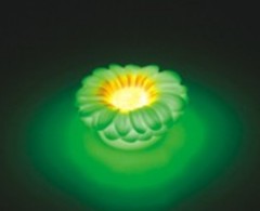 Colorful flower night light