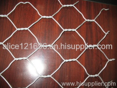 Hexagonal Mesh