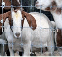 field fence