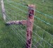 field fence