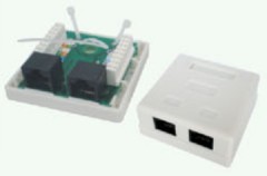 2 port Cat.5e RJ45 PCB 45 degree jack surface mount box