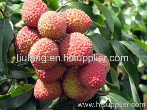 fresh litchis