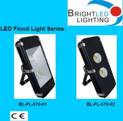 LED Flood light