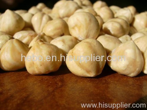 Roasted hazelnut kernels