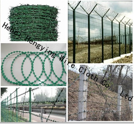 barbed wire netting