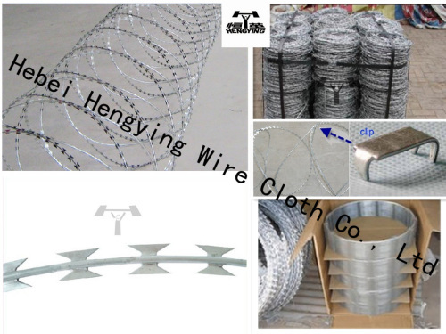 razor barbed wire netting
