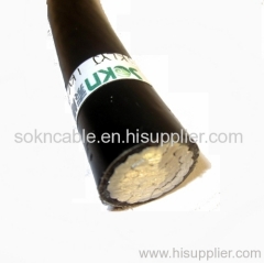 Aerial Insulated Cable with 1kV Rated Voltage
