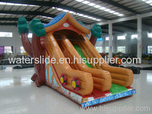 house slide/ bouncy castle slid