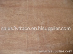 Construction Plywood