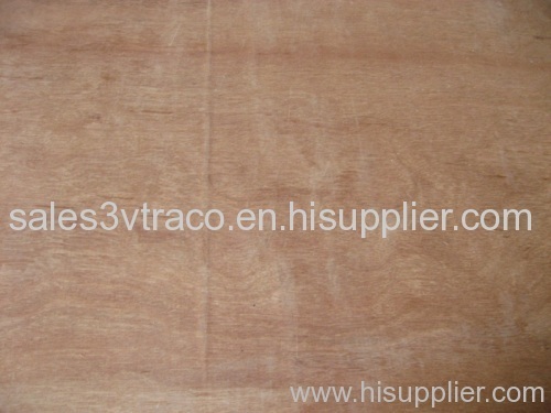 Construction Plywood