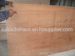 Acacia Plywood