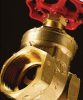 Gate Valve