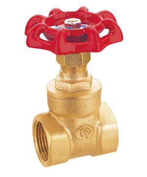 101 gate valve