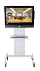 Mobile TV stand