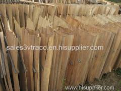 Eucalyptus Core Veneer