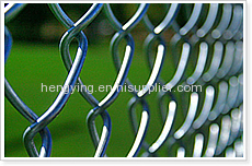 chain link fences