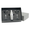 Martini Shaker Gift Set