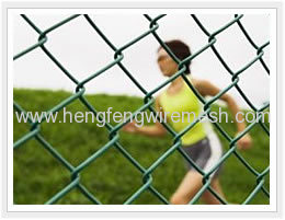 Plastic Coated Chain Link Fence