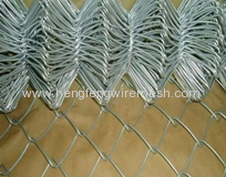 Galvanized Chain Link mesh