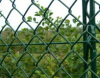 Pvc Coated Chain Link Fence