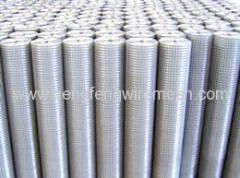 Hot Dipped Galvanized Welded Mesh