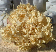 Acacia Wood Shavings