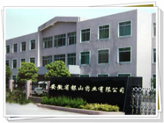 Anhui Youngsun Pesticides Co., Ltd.