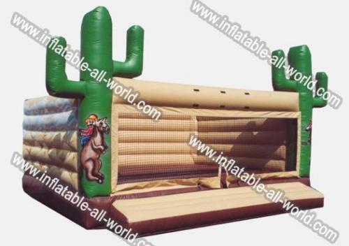 Cactus Bounce House