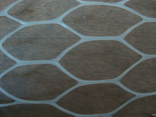 Plastic net,plastic mesh