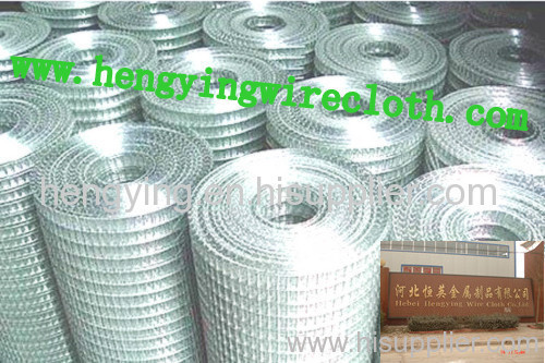 Galvanized Welded Wire Mesh