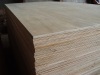 Hardwood Plywood for construction and furniture