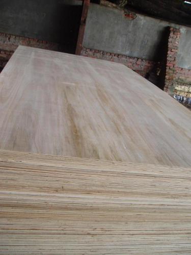 Eucalyptus Plywood for Construction