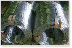 Electro Galvanized Wire