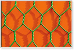 Hexagonal Wire Netting