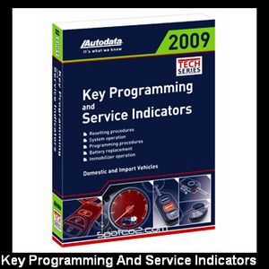 Key Programming And Service Indicators