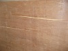 Eucalyptus Plywood Grade AB