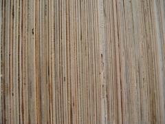 Acacia Plywood Wittout film face