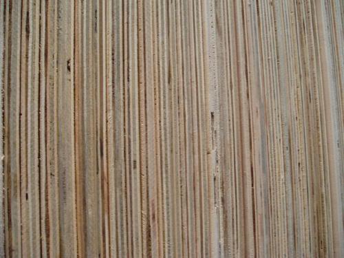 Acacia Plywood Wittout film face