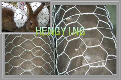 chicken wire meshes