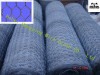 PVC coated hexagonal wire mesh