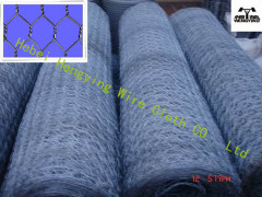PVC coated hexagonal wire meshes