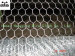 galvanized hexagonal wire netting