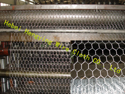 galvanized hexagonal wire mesh