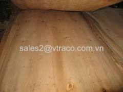 Core Veneer